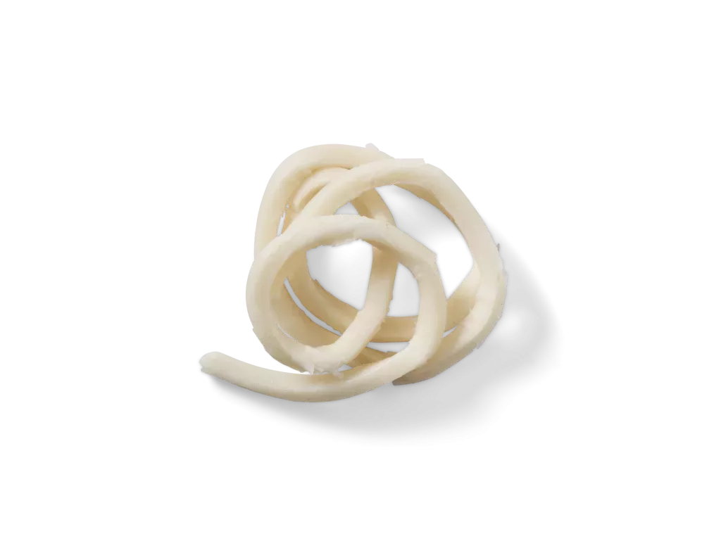 Udon Noodles